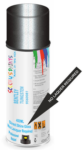 paint for Bentley Continental Gt Cabrio