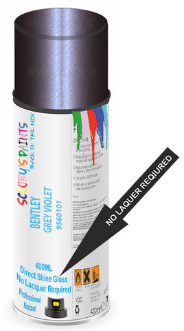 paint for Bentley Arnage