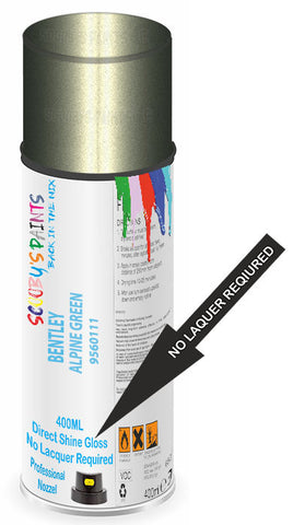 paint for Bentley Arnage