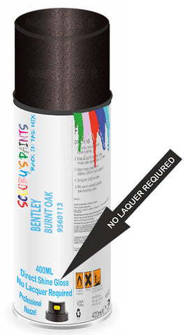 paint for Bentley Arnage