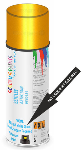 paint for Bentley Arnage