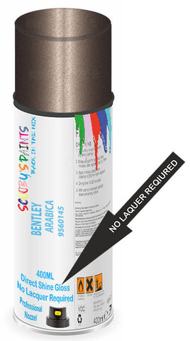 paint for Bentley Arnage