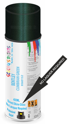 paint for Bentley Arnage