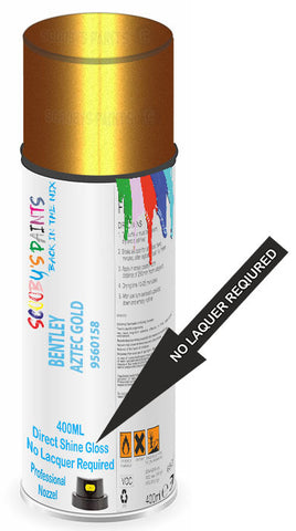 paint for Bentley Arnage