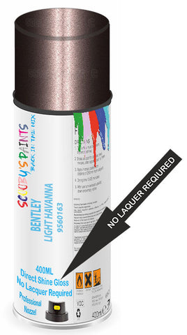 paint for Bentley Arnage
