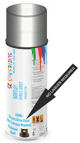 paint for Bentley Arnage