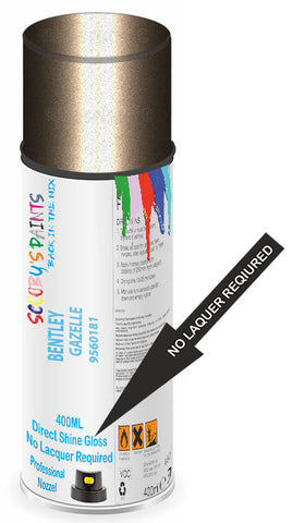 paint for Bentley Arnage