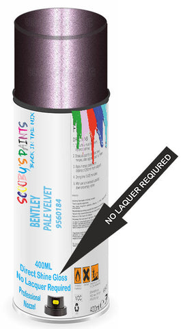 paint for Bentley Arnage