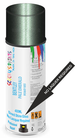 paint for Bentley Arnage
