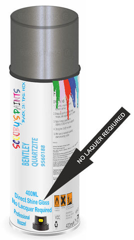 paint for Bentley Mulsanne S