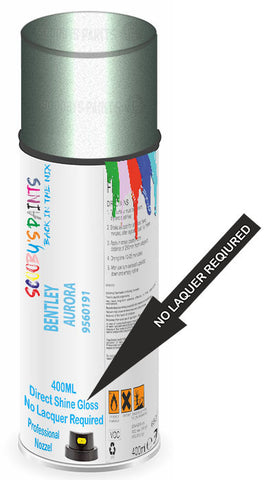 paint for Bentley Arnage