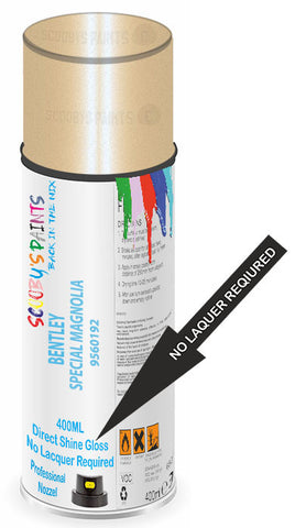 paint for Bentley Mulsanne