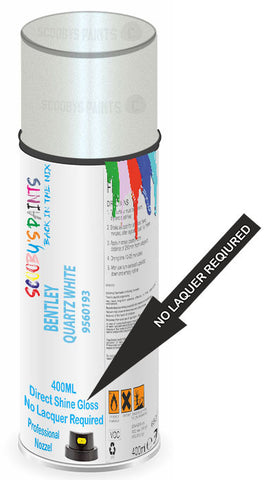 paint for Bentley Arnage