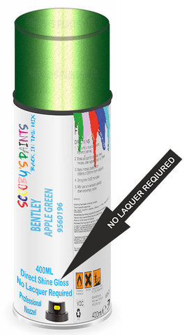 paint for Bentley Continental Gtc