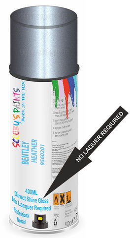 paint for Bentley Arnage