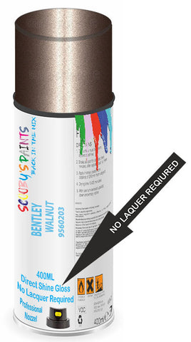 paint for Bentley Azure