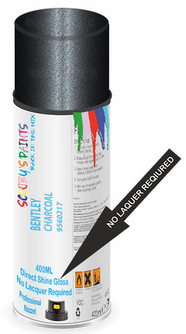 paint for Bentley Arnage
