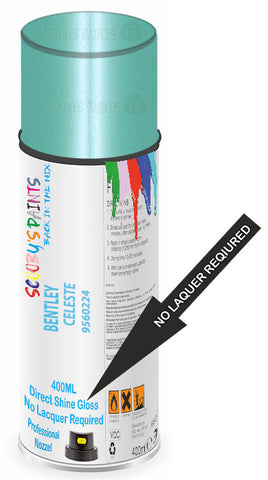 paint for Bentley Arnage