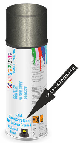 paint for BENTLEY 