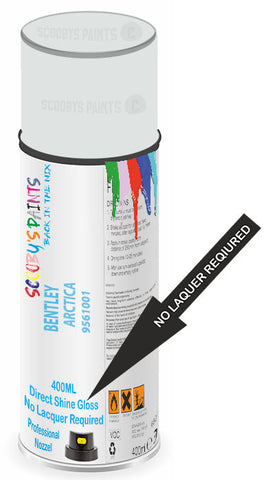 paint for Bentley Arnage