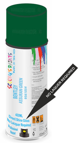 paint for Bentley Arnage