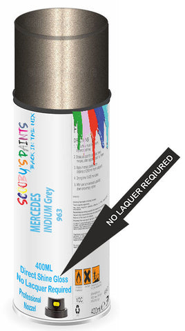 paint for Mercedes Metris
