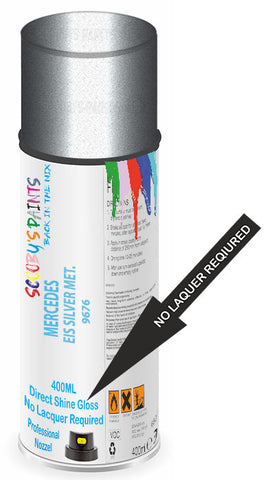 paint for Mercedes Sprinter