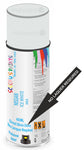 paint for Nissan Interstar