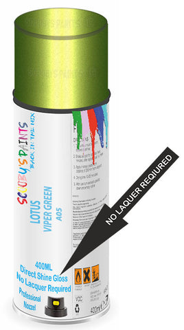 paint for LOTUS 