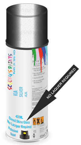 paint for KIA PONTENTIA