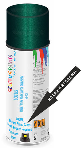 paint for LOTUS 