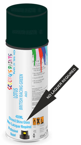 paint for LOTUS 