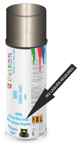 paint for Bmw X5
