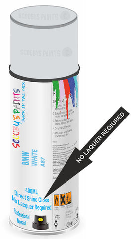 paint for Bmw Motorcycle