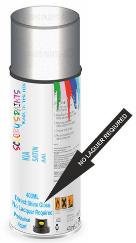 paint for Kia Soul Ev