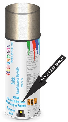 paint for Buick Rendezvous