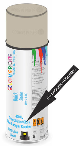 paint for Buick Riviera