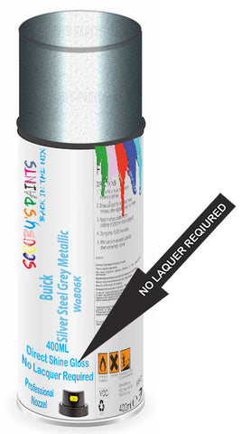 paint for Buick Park Avenue