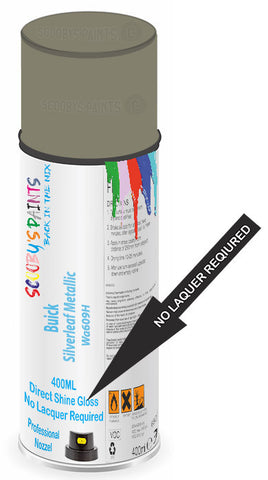 paint for Buick Rendezvous