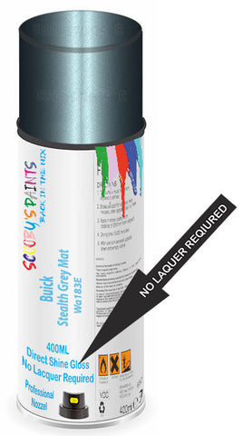 paint for Buick Lucerne