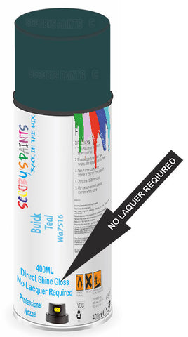 paint for Buick Century