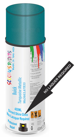 paint for Buick Riviera