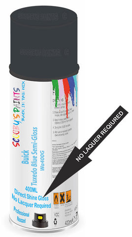 paint for Buick Lucerne