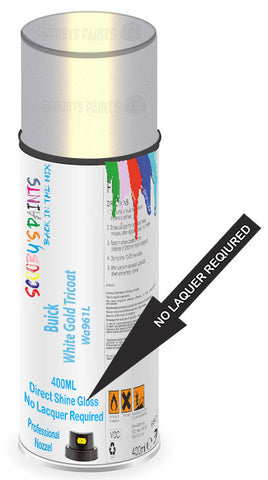 paint for Buick Lucerne