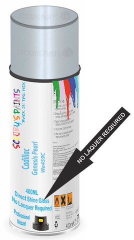 paint for Cadillac Cts