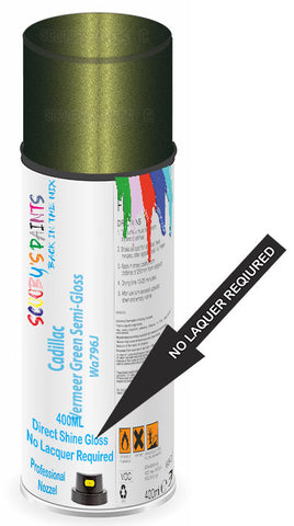 paint for Cadillac Catera