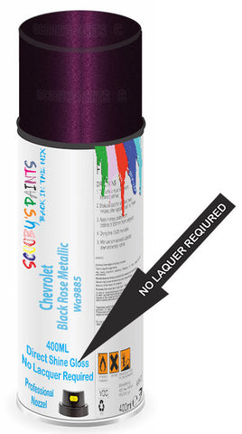 paint for Chevrolet Beretta