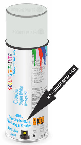 paint for Chevrolet Monte Carlo