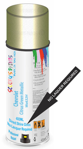 paint for Chevrolet Cavalier