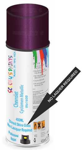 paint for Chevrolet Astro Van
